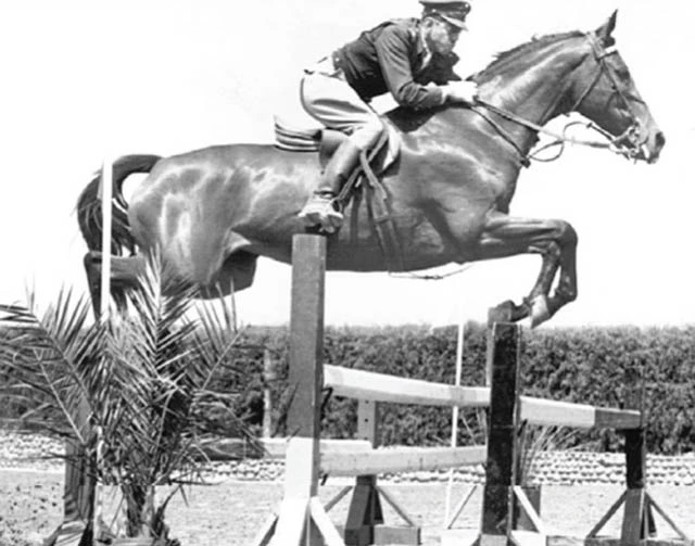 Alberto Valdes Lacarra - Showjumping